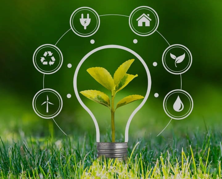 Green Energy: Pros and Cons You Should Know