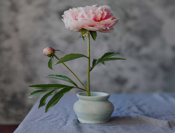 The Secret History and Timeless Beauty of Flowers