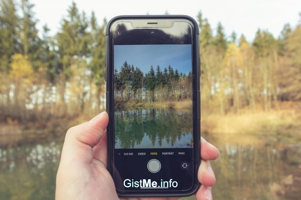 Capturing Natural Beauty: Top Mobile Applications for Nature Photography